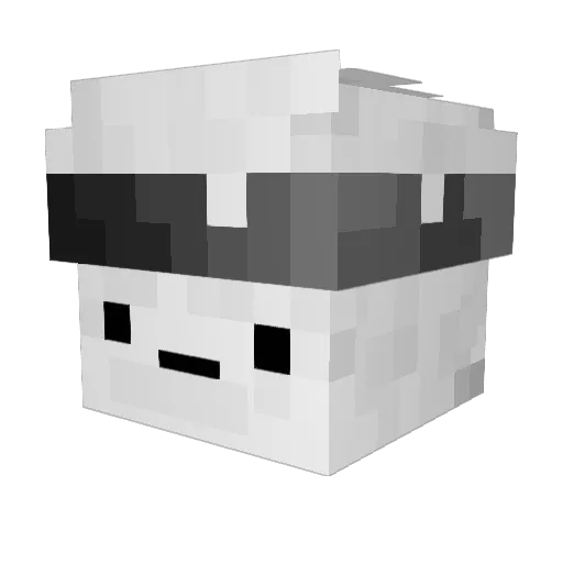 Sc0field_0 Minecraft avatar head, 3D render