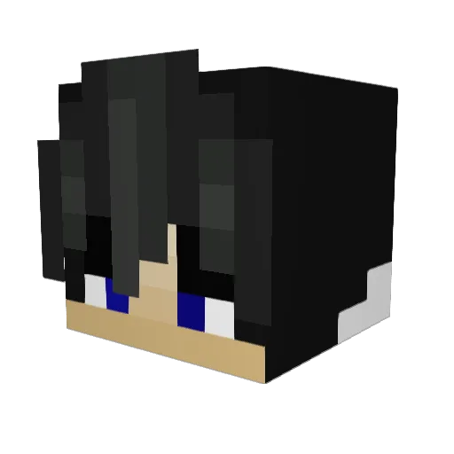 Sc0re1000 Minecraft avatar head, 3D render