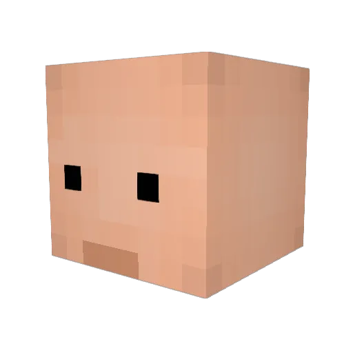 ScacchiMatera Minecraft avatar head, 3D render