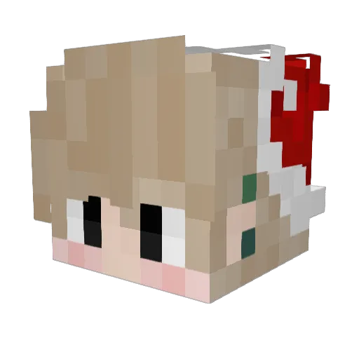 Scalabrinee Minecraft avatar head, 3D render