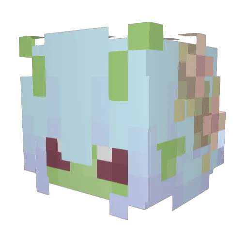 Scales25 Minecraft avatar head, 3D render