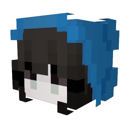 Scally_Wally Minecraft avatar head, 3D render