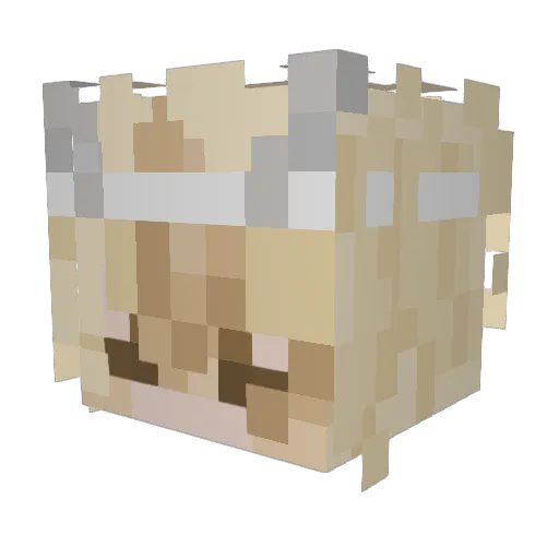 Scam47 Minecraft avatar head, 3D render