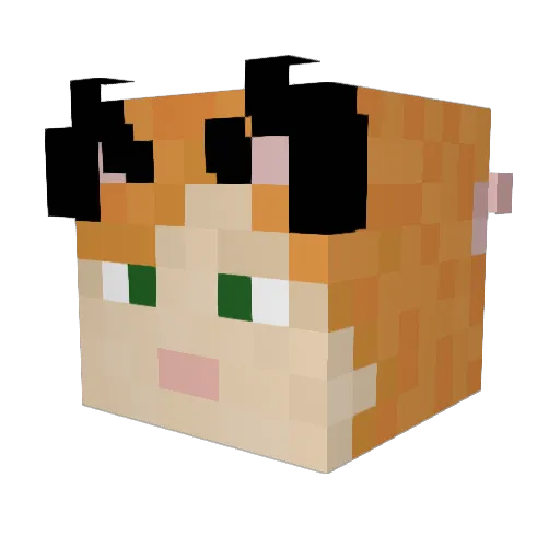 Scammermouche Minecraft avatar head, 3D render