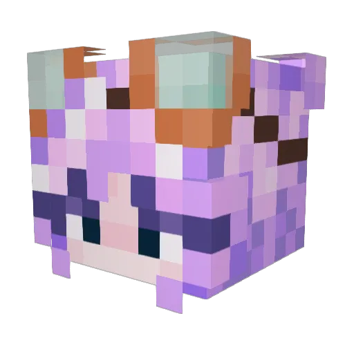Minecraft-Avatar von Scanaday: Kopf als 3D-Render