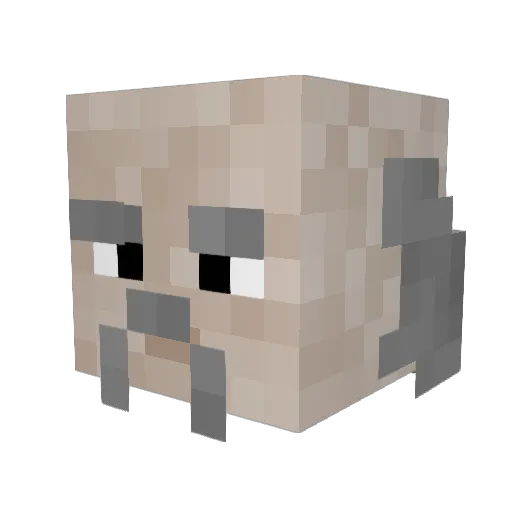 Scandraal Minecraft avatar head, 3D render