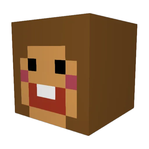 ScannerAnna01 Minecraft avatar head, 3D render