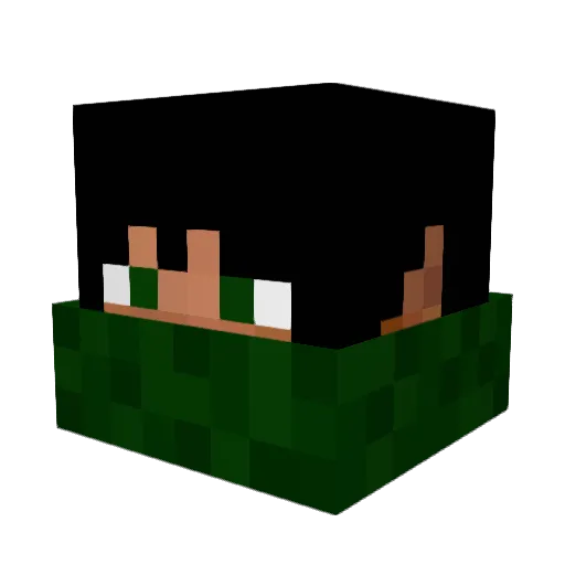 ScarFace355 Minecraft avatar head, 3D render