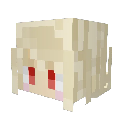 ScarWasTaken Minecraft avatar head, 3D render
