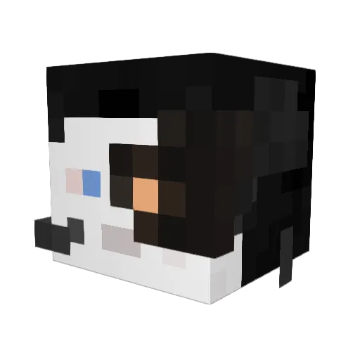 ScaraBandaris Minecraft avatar head, 3D render