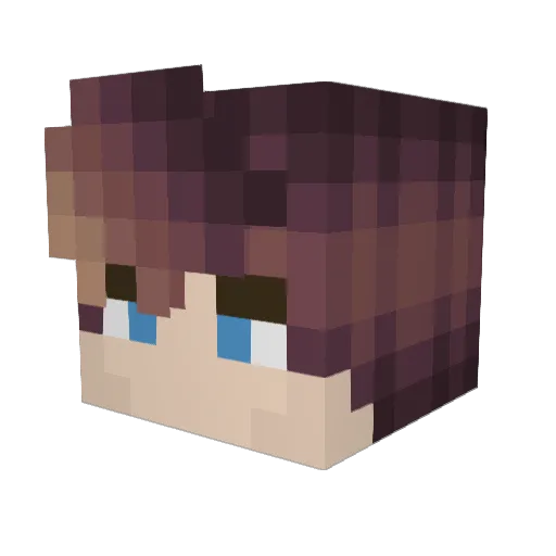 Scarab52 Minecraft avatar head, 3D render