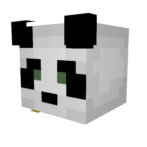 ScarabRa Minecraft avatar head, 3D render