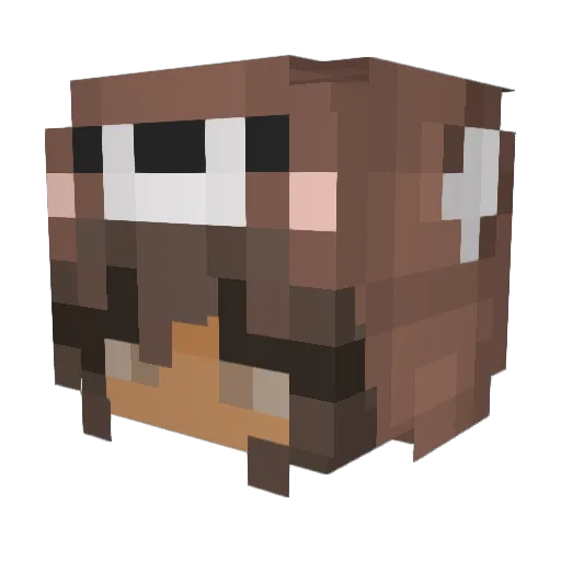 Scarararara Minecraft avatar head, 3D render