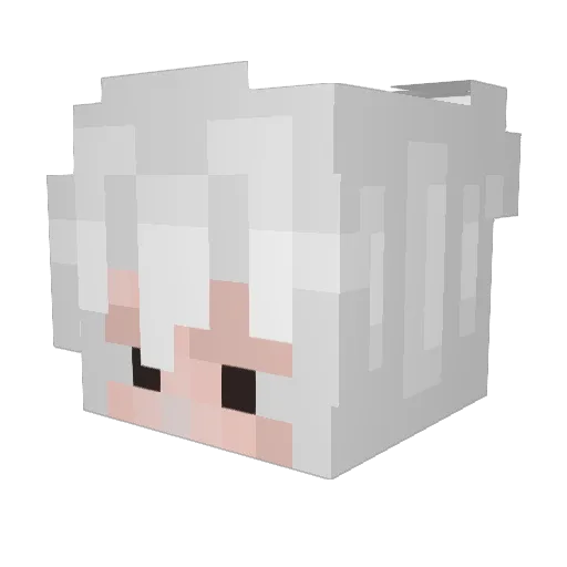 Scarcasme Minecraft avatar head, 3D render