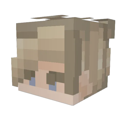ScarceIsntGay Minecraft avatar head, 3D render