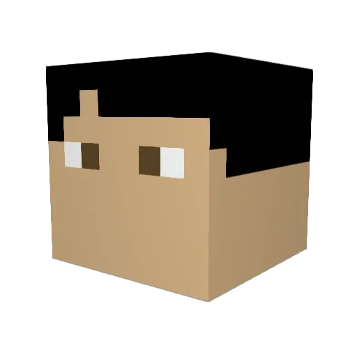 Scare00 Minecraft avatar head, 3D render