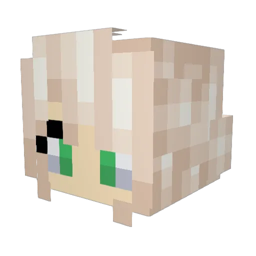 ScarecrowCC Minecraft avatar head, 3D render