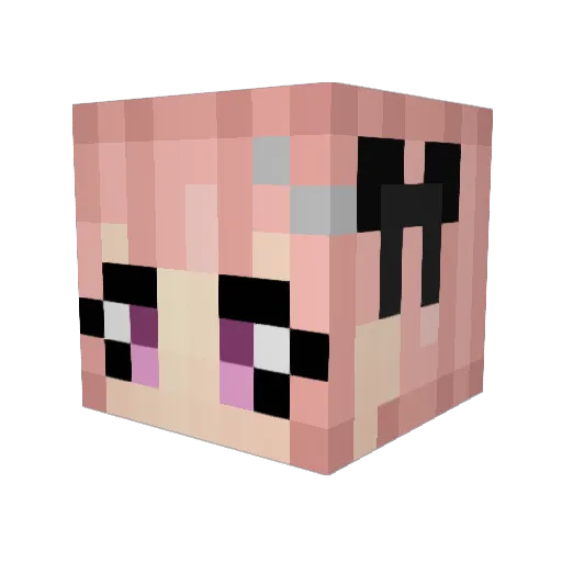 Scared_9200 Minecraft avatar head, 3D render