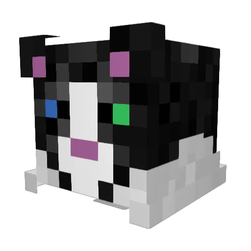 ScaredyKats97 Minecraft avatar head, 3D render