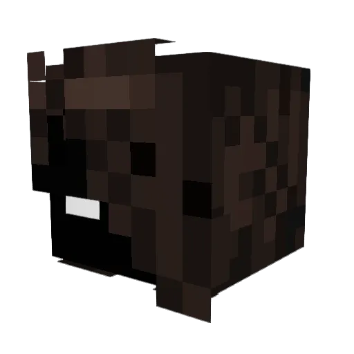 Scarf11037 Minecraft avatar head, 3D render