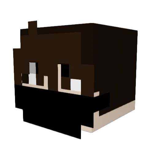 ScarfGuy427 Minecraft avatar head, 3D render