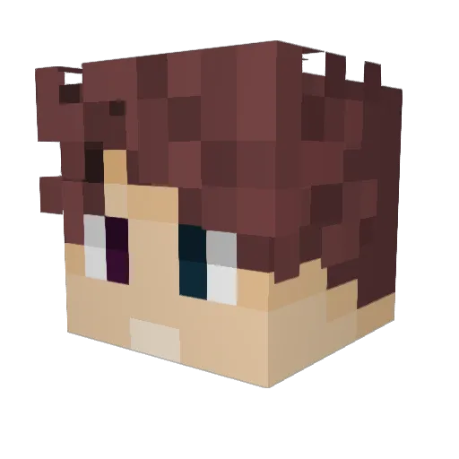 Scarfish211 Minecraft avatar head, 3D render