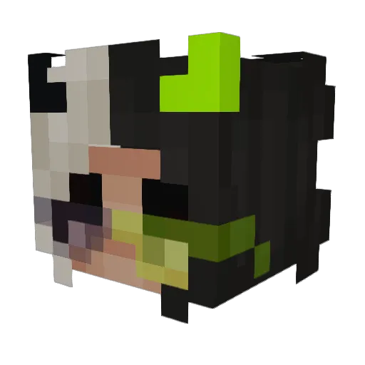 Scarlet1507 Minecraft avatar head, 3D render