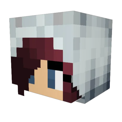ScarletAssassin7 Minecraft avatar head, 3D render