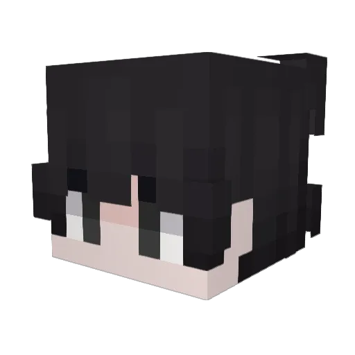 ScarletFlower_ Minecraft avatar head, 3D render