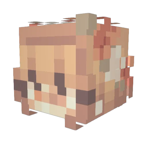 ScarletFox04 Minecraft avatar head, 3D render