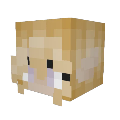 ScarlettFox Minecraft avatar head, 3D render