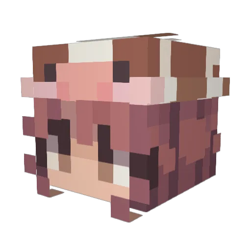ScarlettKatee Minecraft avatar head, 3D render