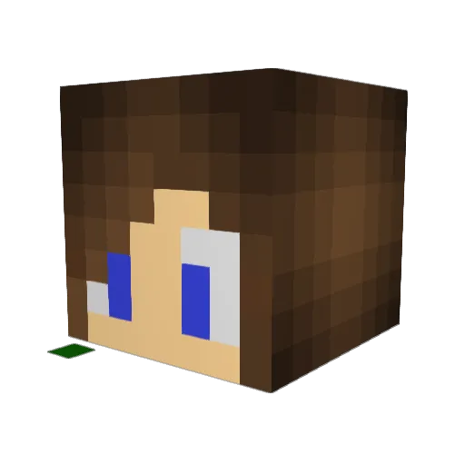ScarlettShadow Minecraft avatar head, 3D render
