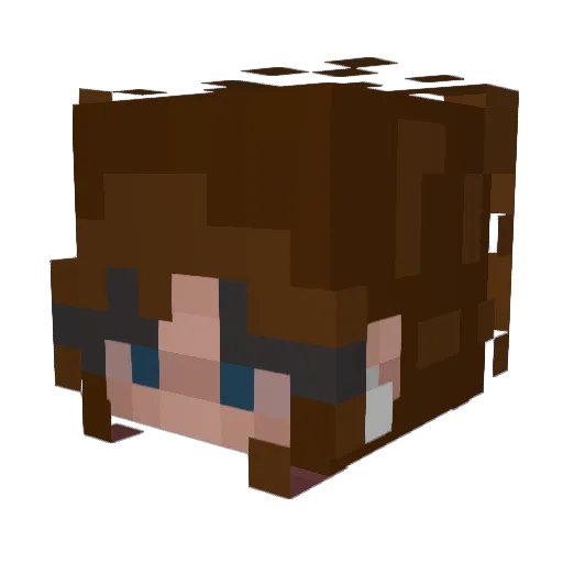 ScarlettW08 Minecraft avatar head, 3D render
