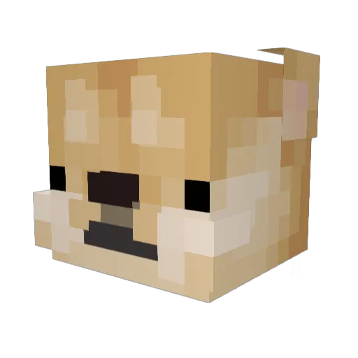 ScarringRhythm Minecraft avatar head, 3D render