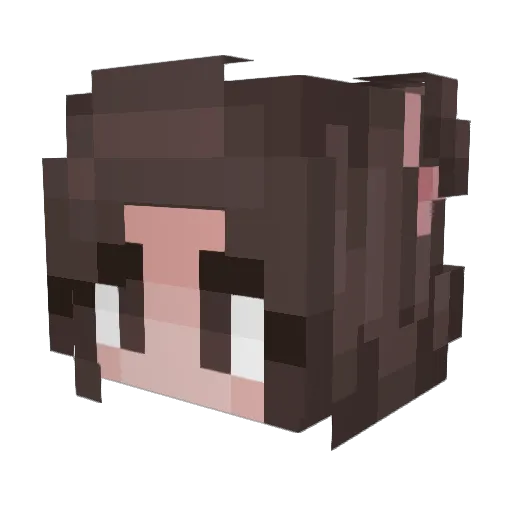Scarvenhe Minecraft avatar head, 3D render