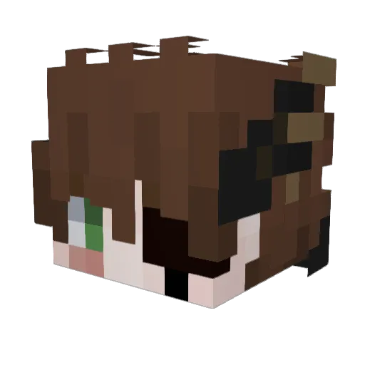 Scarwhyy Minecraft avatar head, 3D render