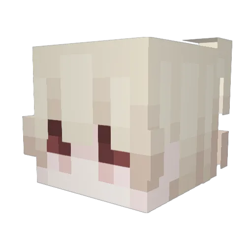 ScaryComEBOY Minecraft avatar head, 3D render