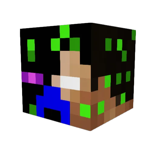 ScaryDolphins Minecraft avatar head, 3D render
