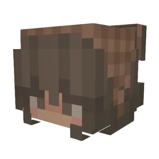 ScaryGhost18120 Minecraft avatar head, 3D render
