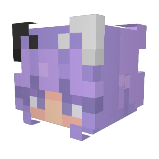 Scarybread998 Minecraft avatar head, 3D render