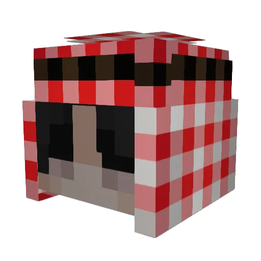 Scase Minecraft avatar head, 3D render