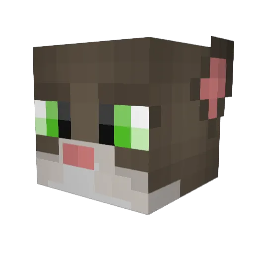 Scatnix Minecraft avatar head, 3D render