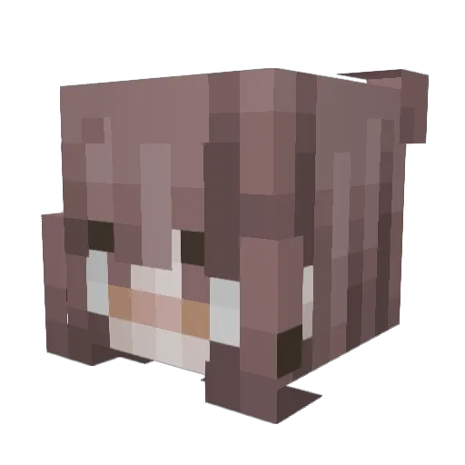 Scavenger_Six Minecraft avatar head, 3D render
