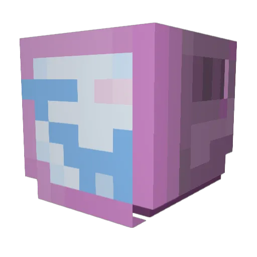 Scelloboy Minecraft avatar head, 3D render