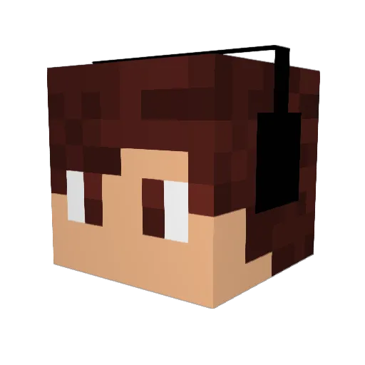 Schaaggi Minecraft avatar head, 3D render