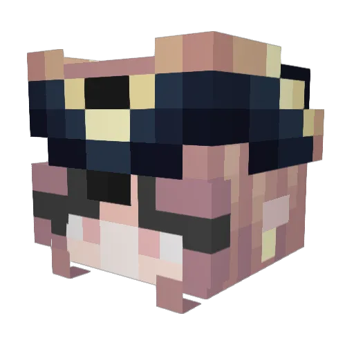 Schaamsnor Minecraft avatar head, 3D render