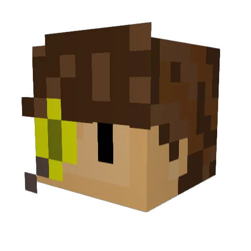 Schadla037 Minecraft avatar head, 3D render
