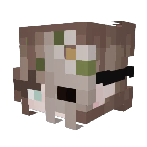SchadowNova Minecraft avatar head, 3D render