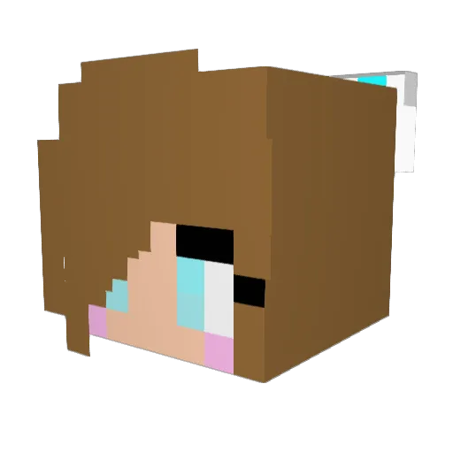 Schafdog94 Minecraft avatar head, 3D render